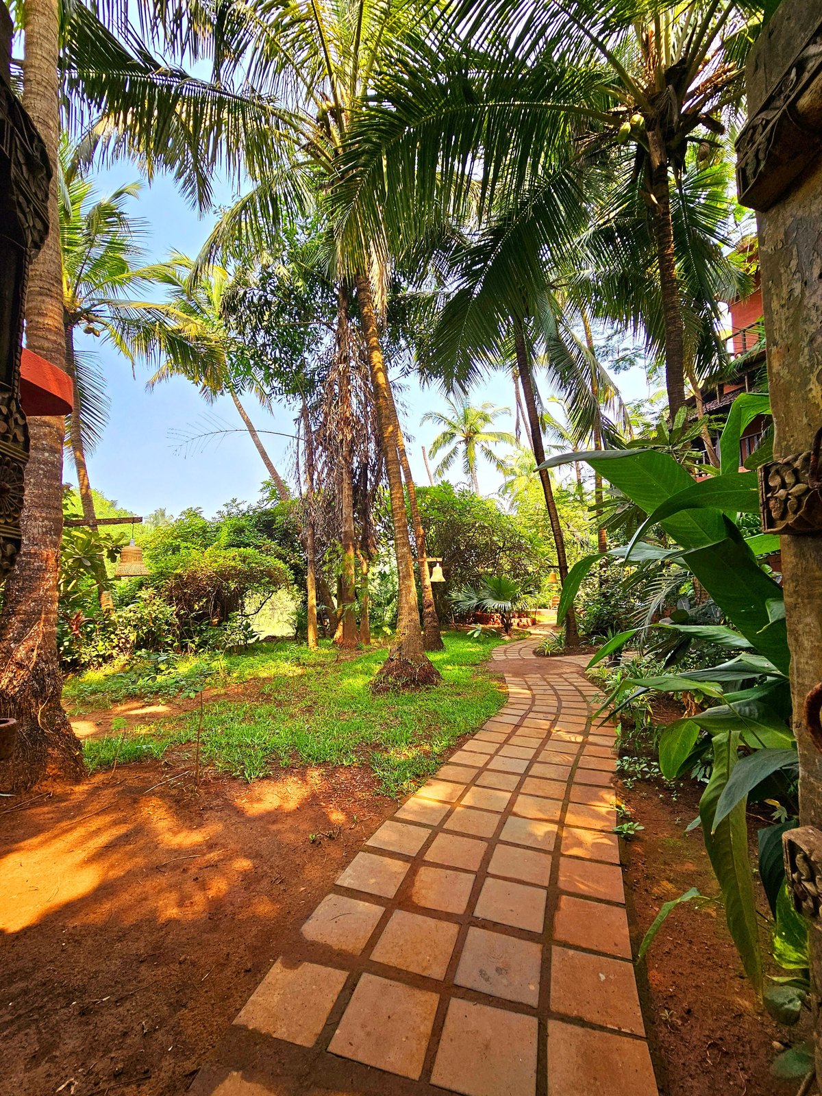 Palm-lined path at Ashiyana, Goa