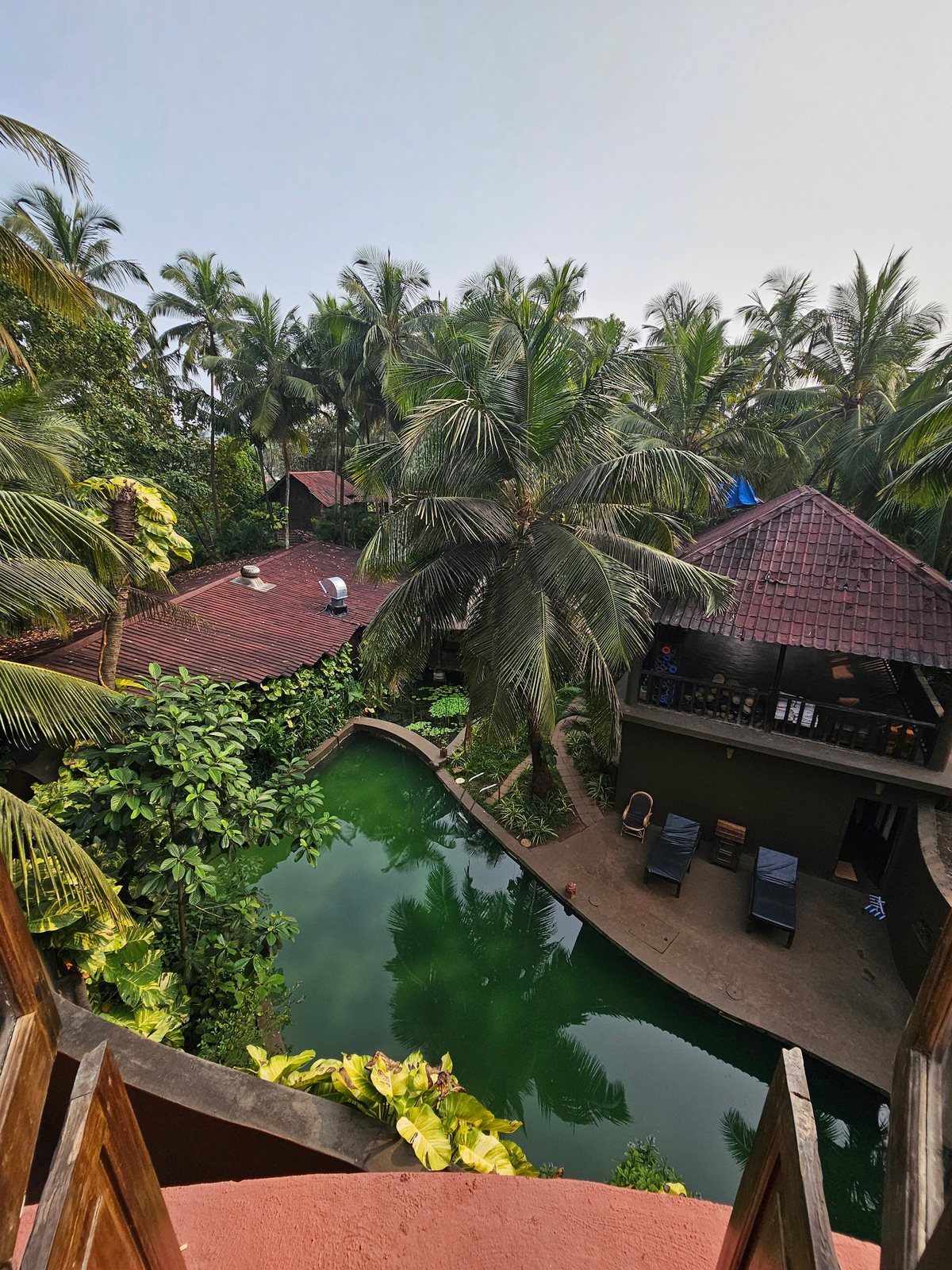 The pool seen from the upper terrace
