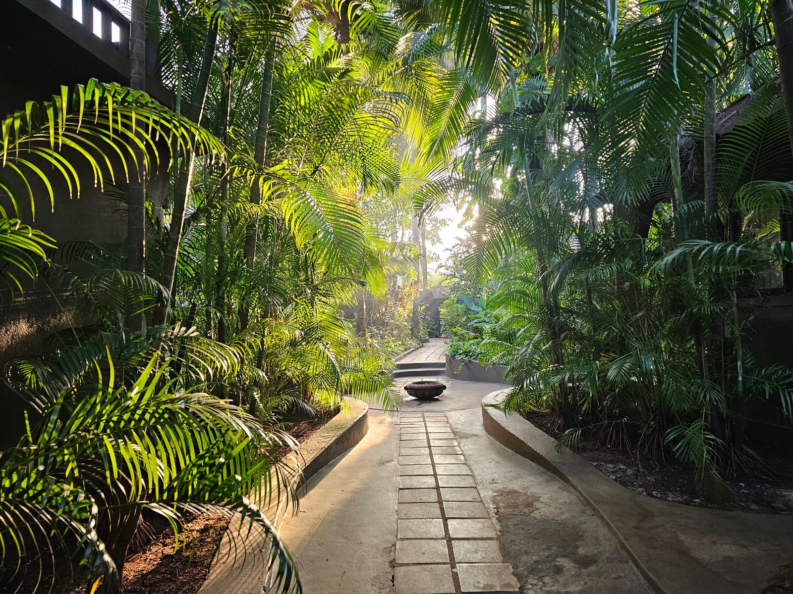 Stone path winding between the palms